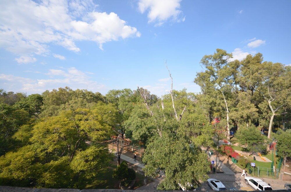 Фото Hotel Diana del Bosque by Dot Urban