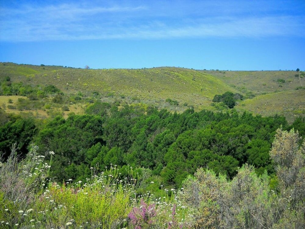 Фото Pabala Game Farm