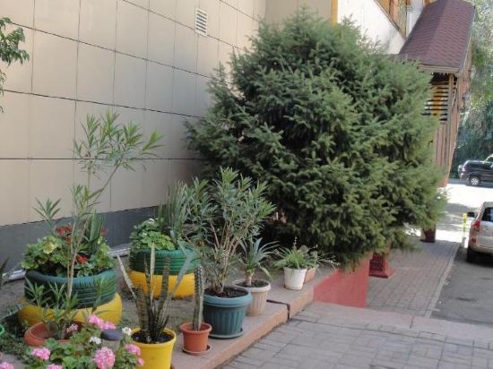 Фото отеля 4