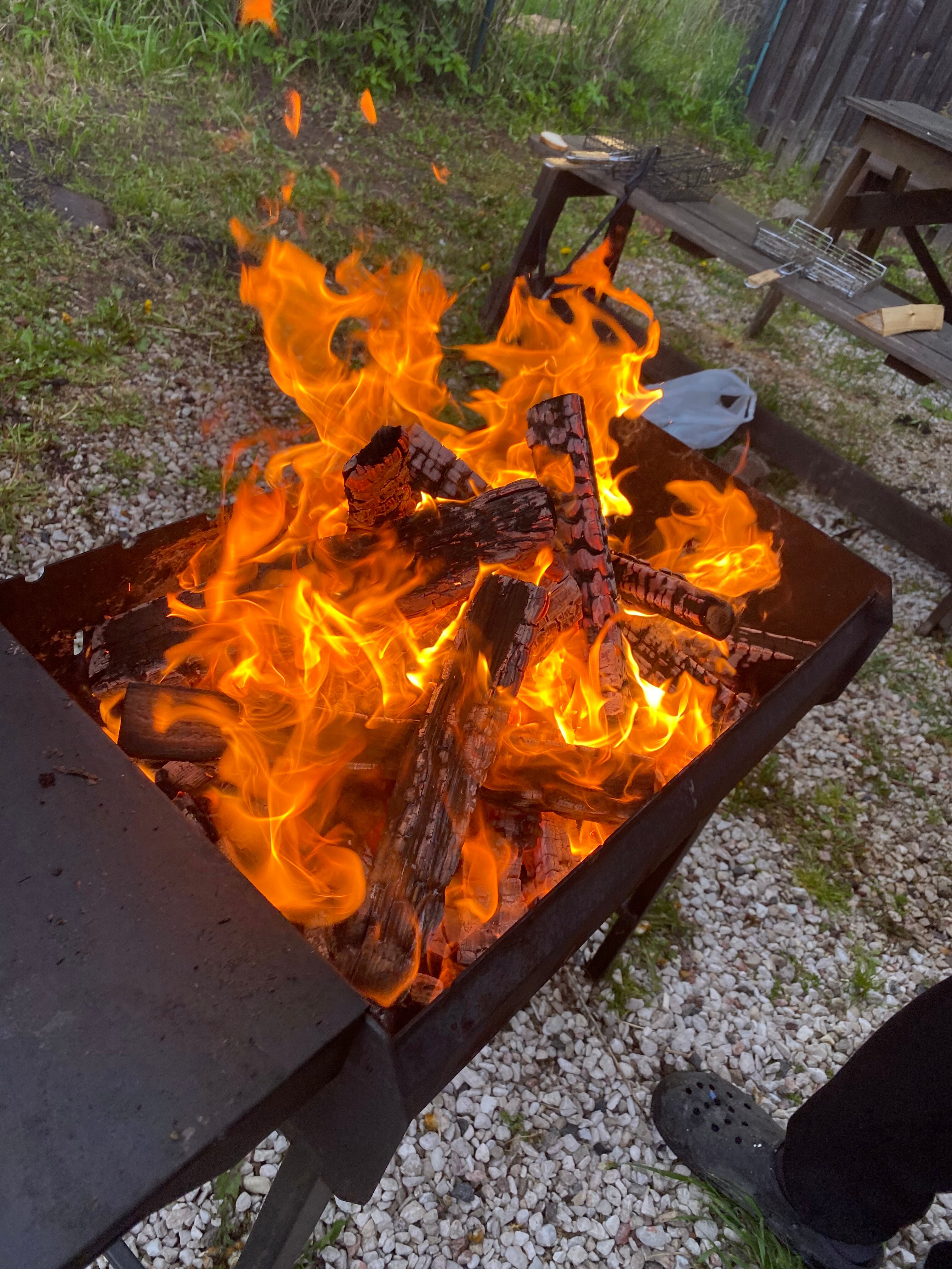 Фото Пушкинские горы