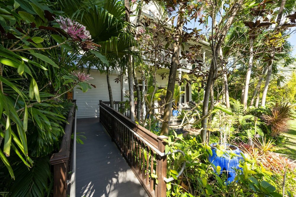 Фото The Mermaid & Alligator