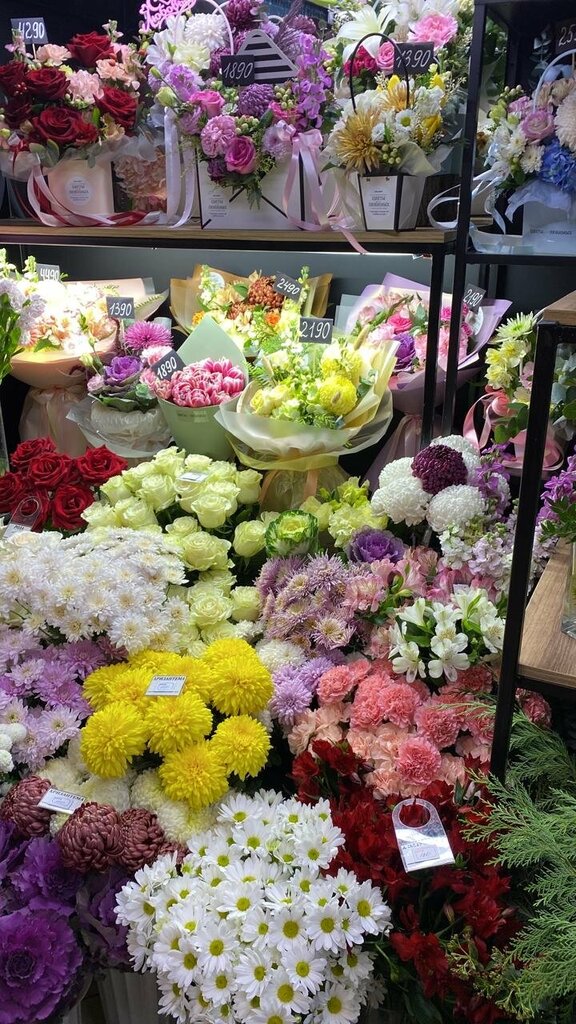 Сафонов Вячеслав