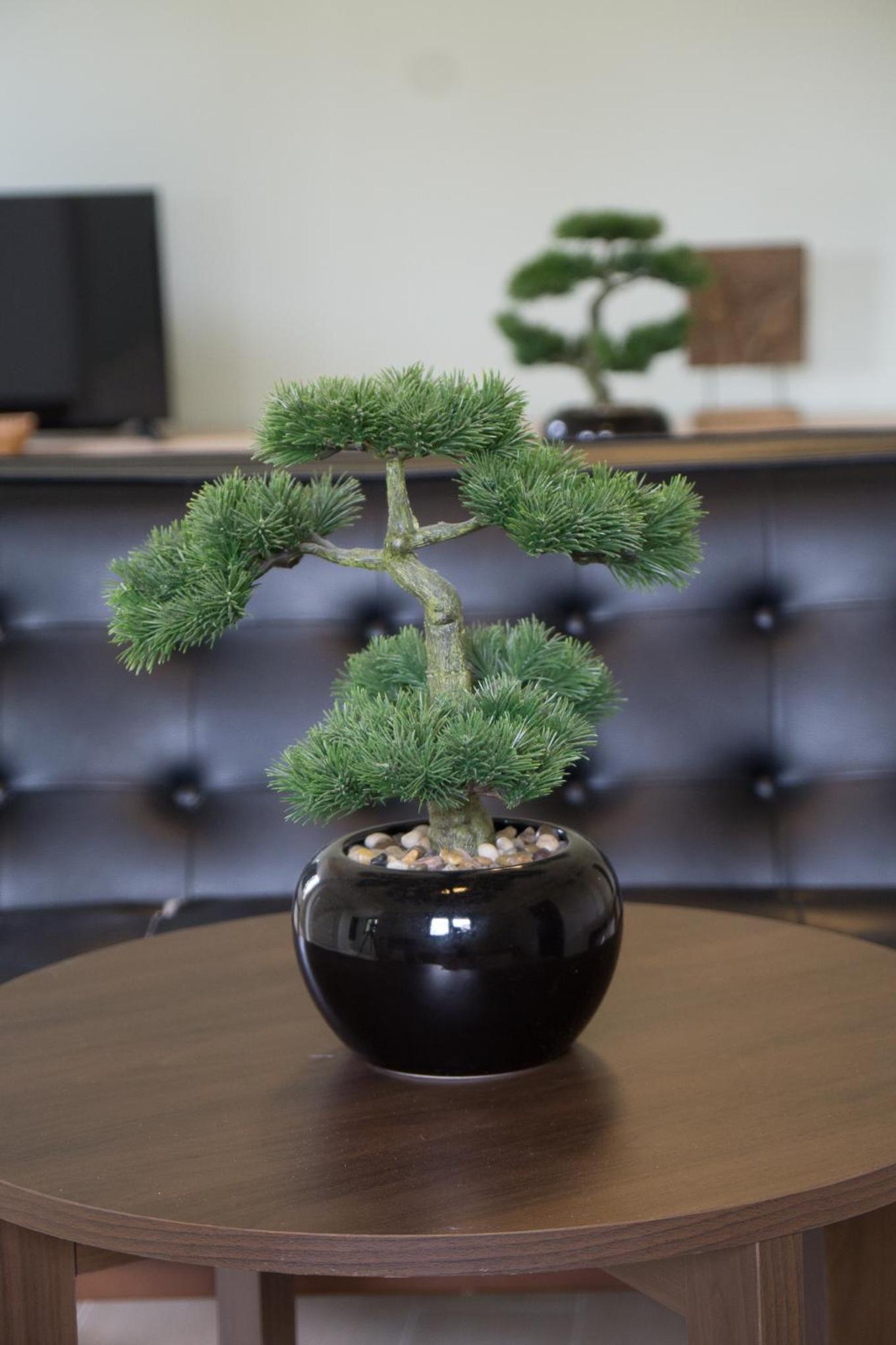 Фото Baan Ploy in - Adults Only - Hostel