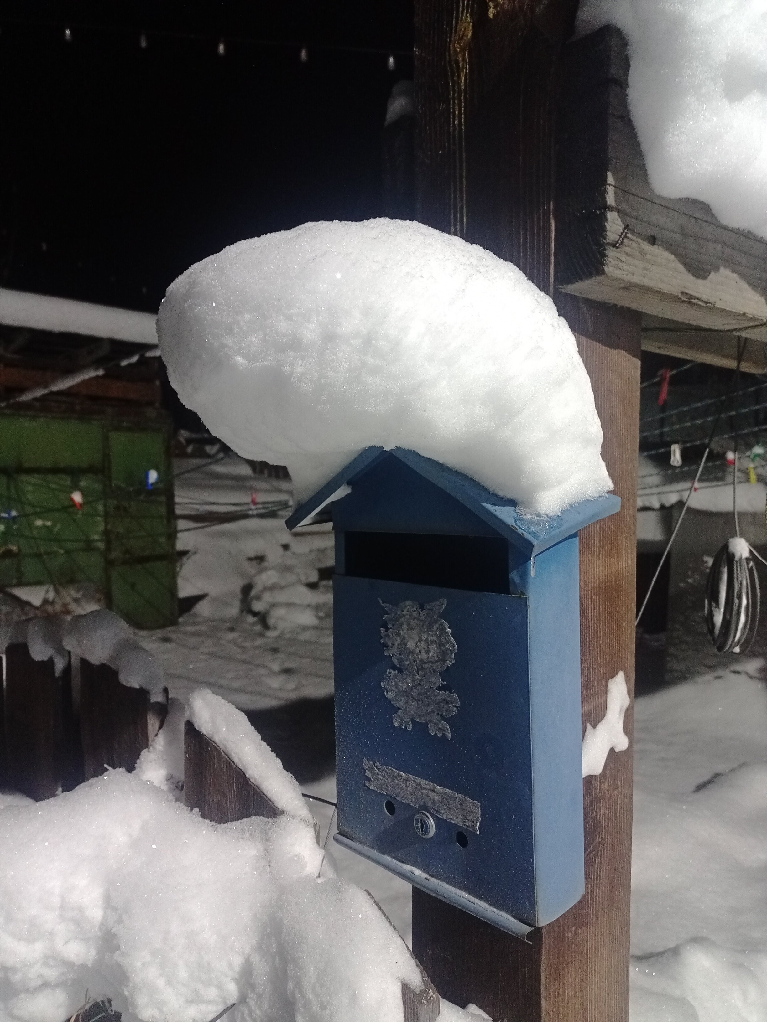 Фото Яшкин Дом