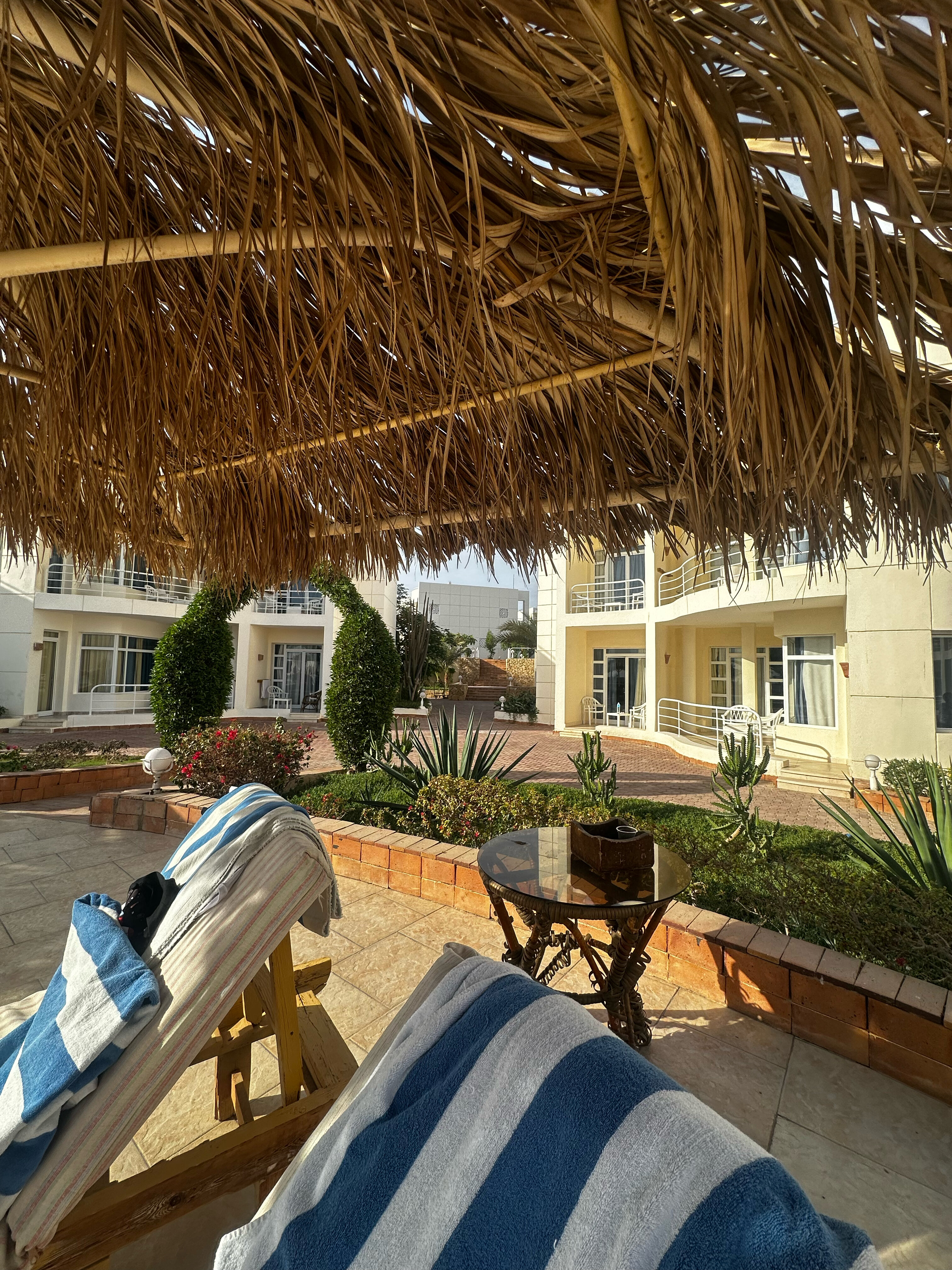 Фото Sharm Reef Hotel