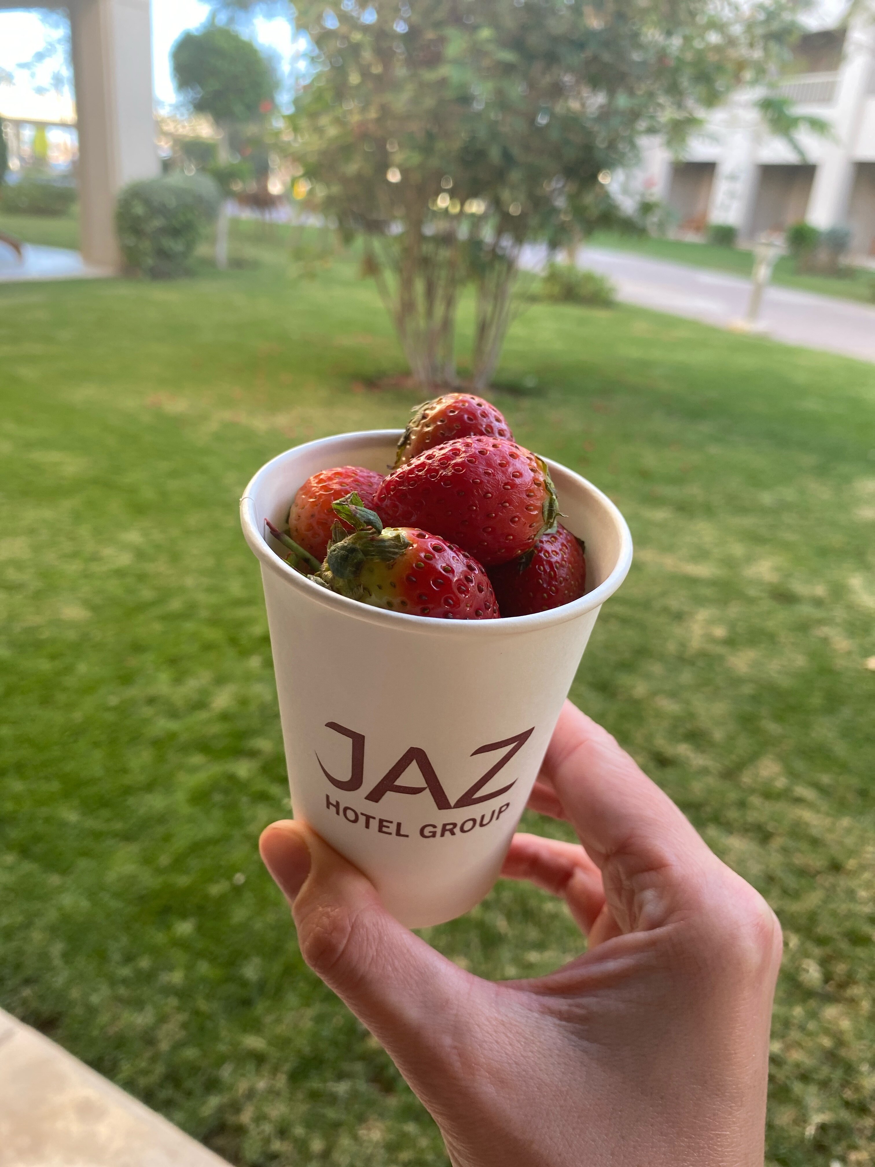 Фото Jaz Soma Beach