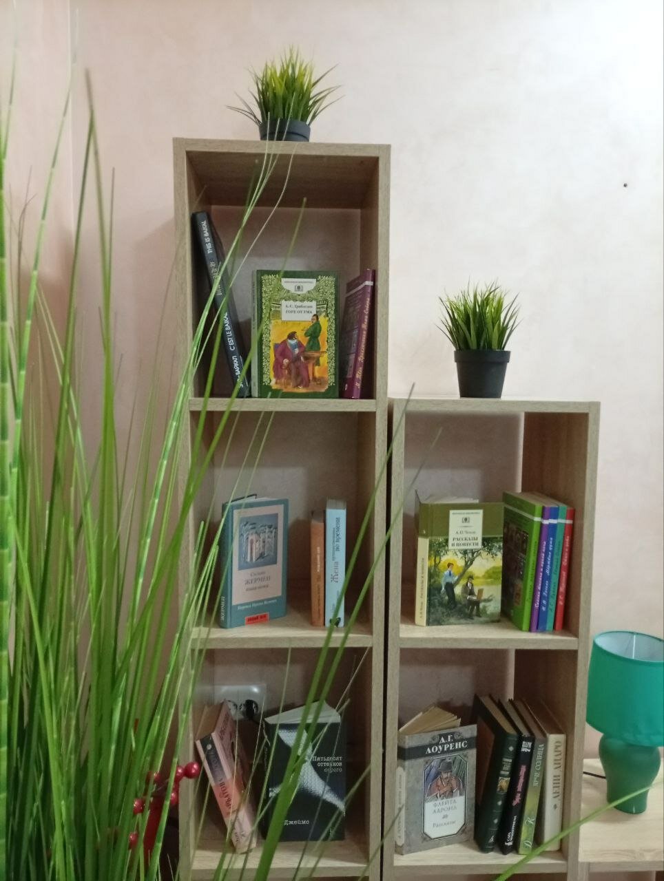 Фото Клевер