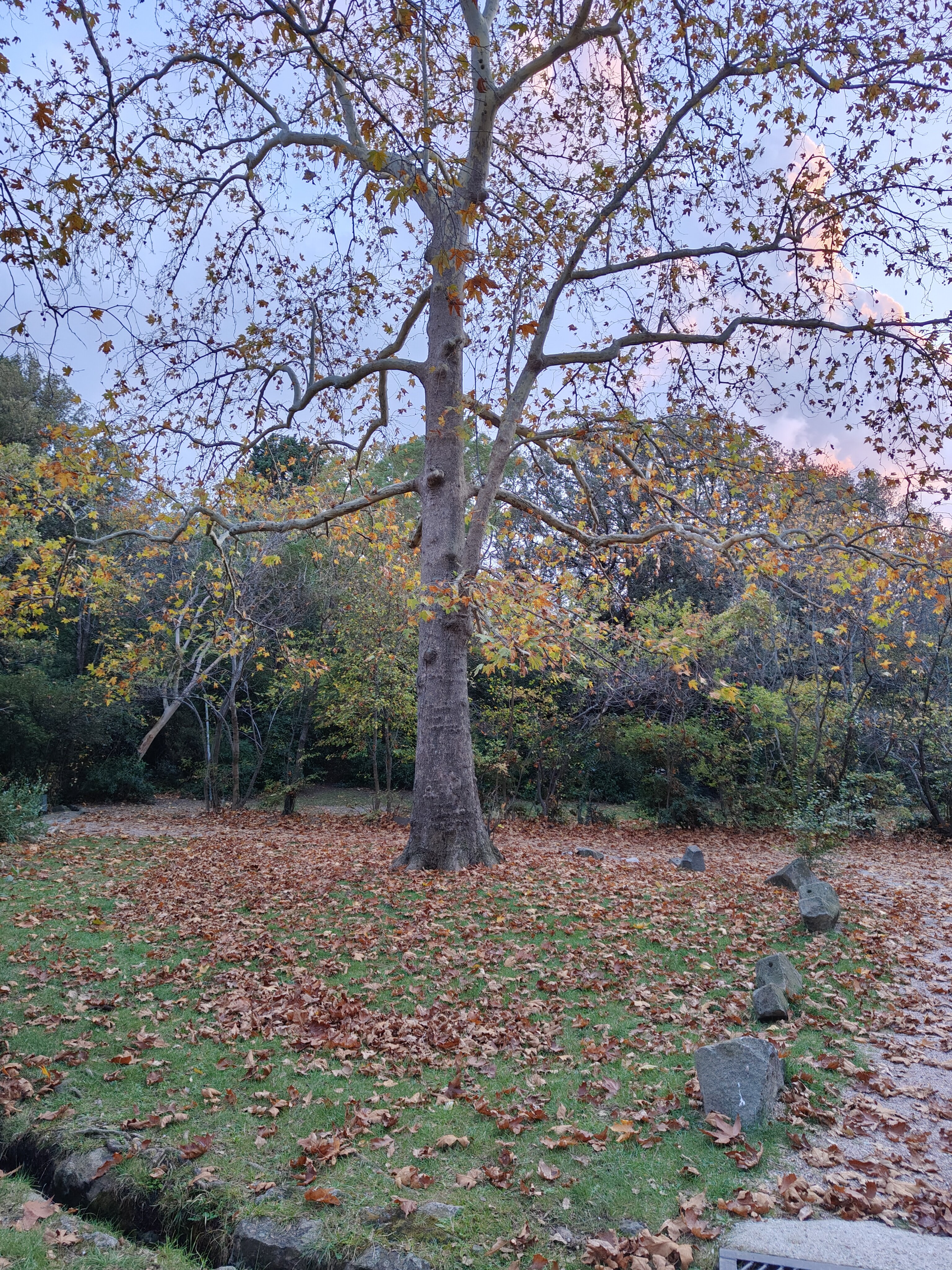 Фото Дом в парке