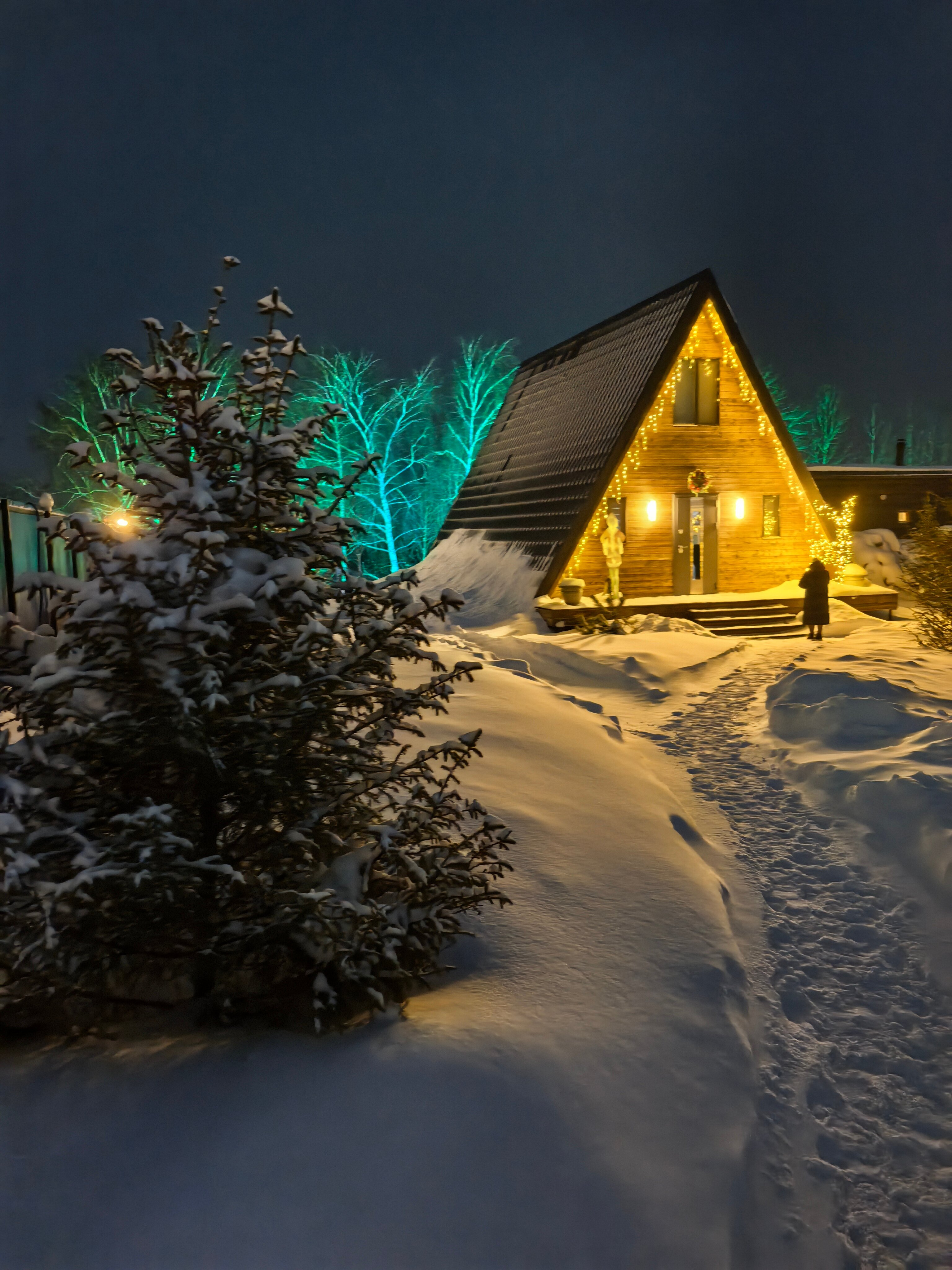 Фото Your Home с АльпакамИ