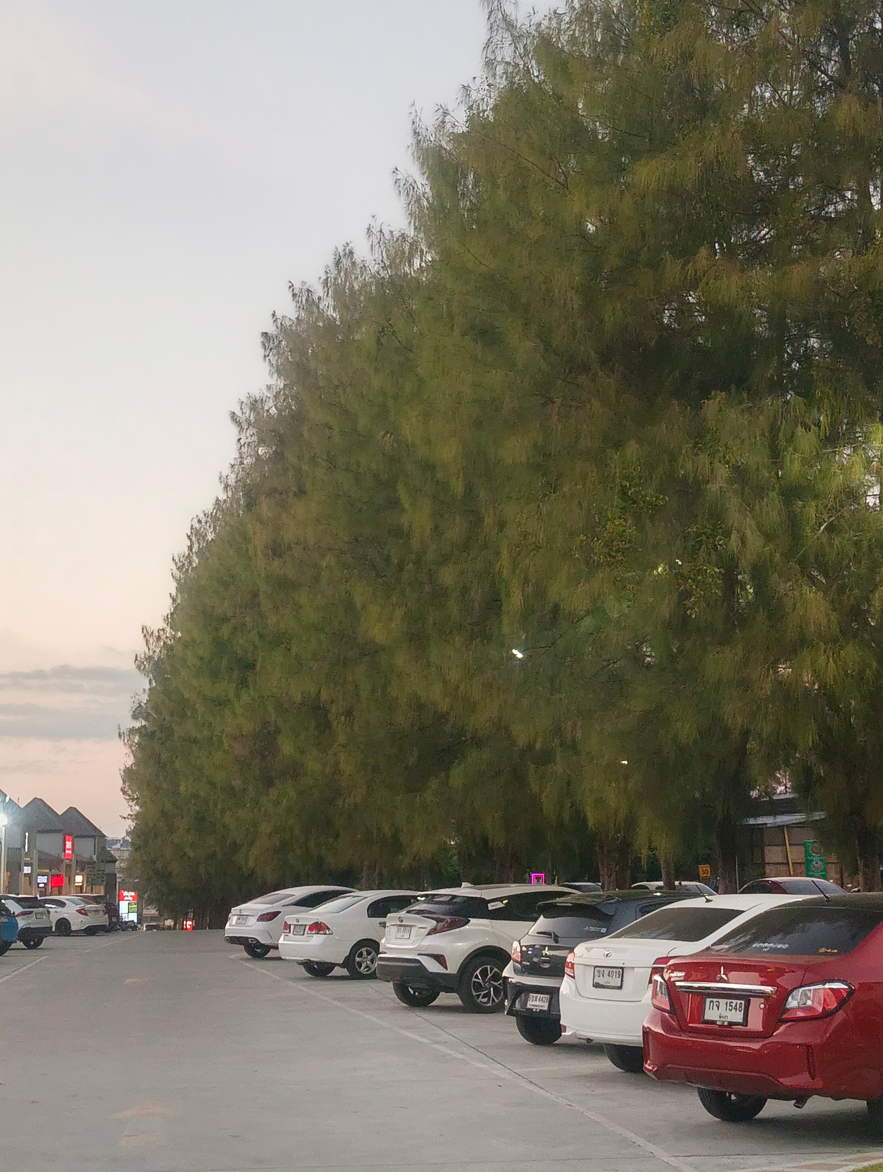 Фото Hill Myna Condotel