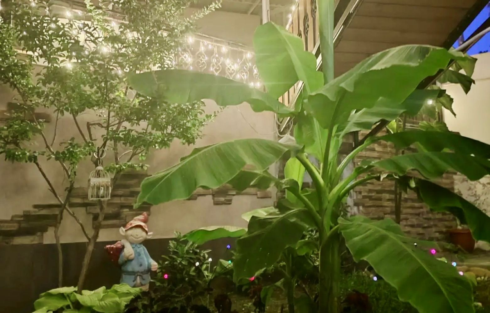 Фото У Веры