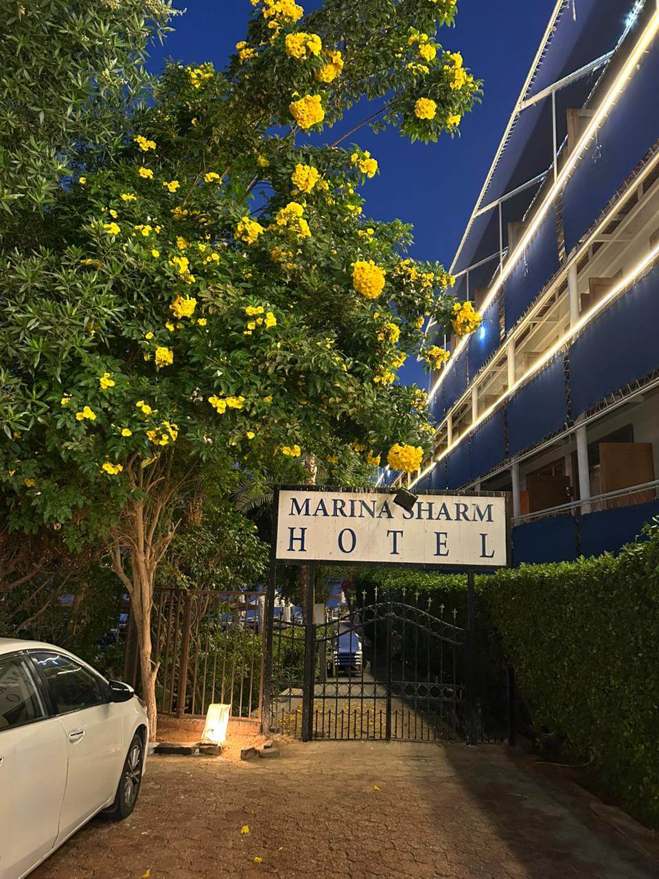 Фото Marina Sharm Hotel