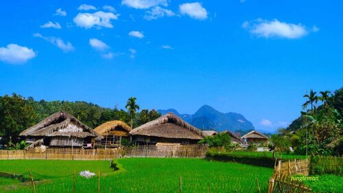 Гостиница Tâm Family Homestay в Провинции Хазянг
