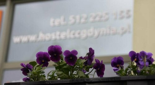 Гостиница Lena Gdynia в Гдыне