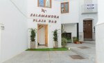 Salamandra Plaza B&b