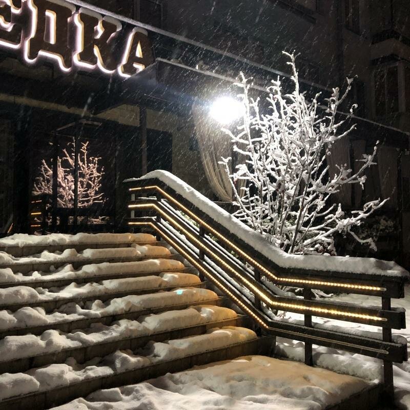Шведка — фото 22