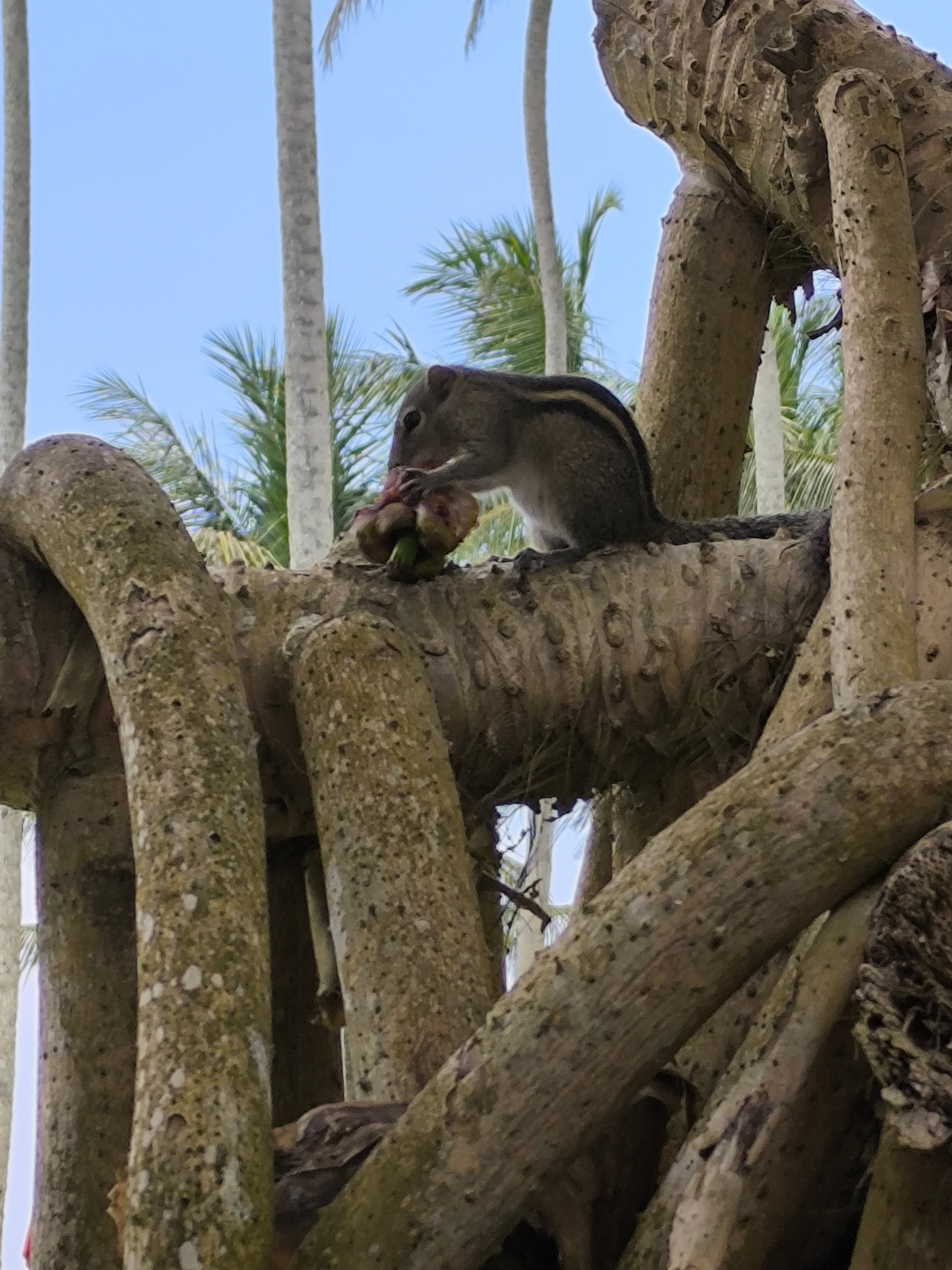 Фото The Blue Water