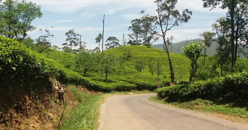 Гостиница Freedom Lodge Ella в Провинции Ува