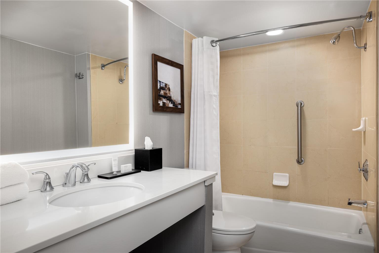 Фото Embassy Suites Hotel Birmingham