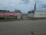 Standart-avto (ulitsa Mikhalitsyna, 61), car service, auto repair