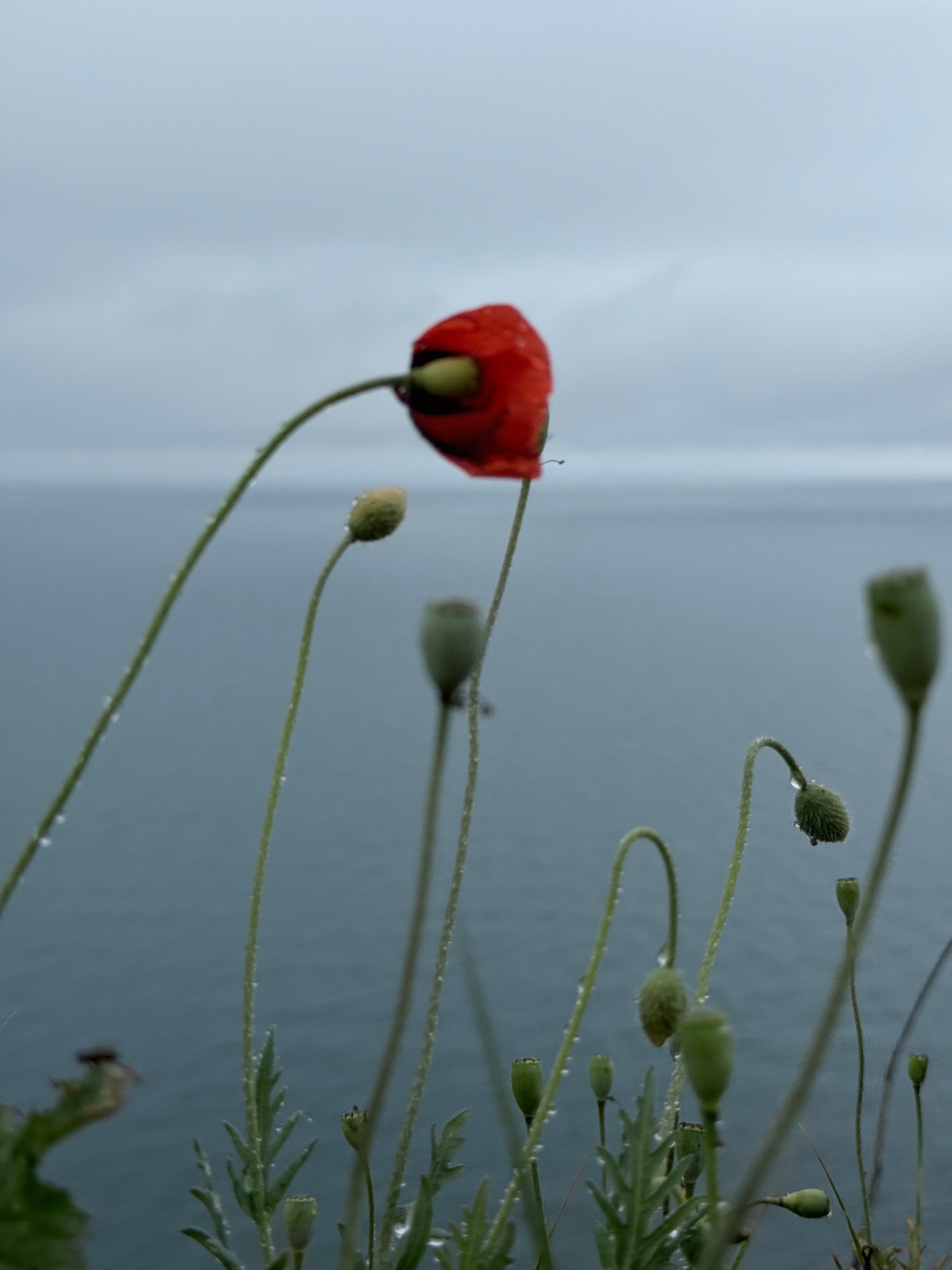 Фото Море & Горы