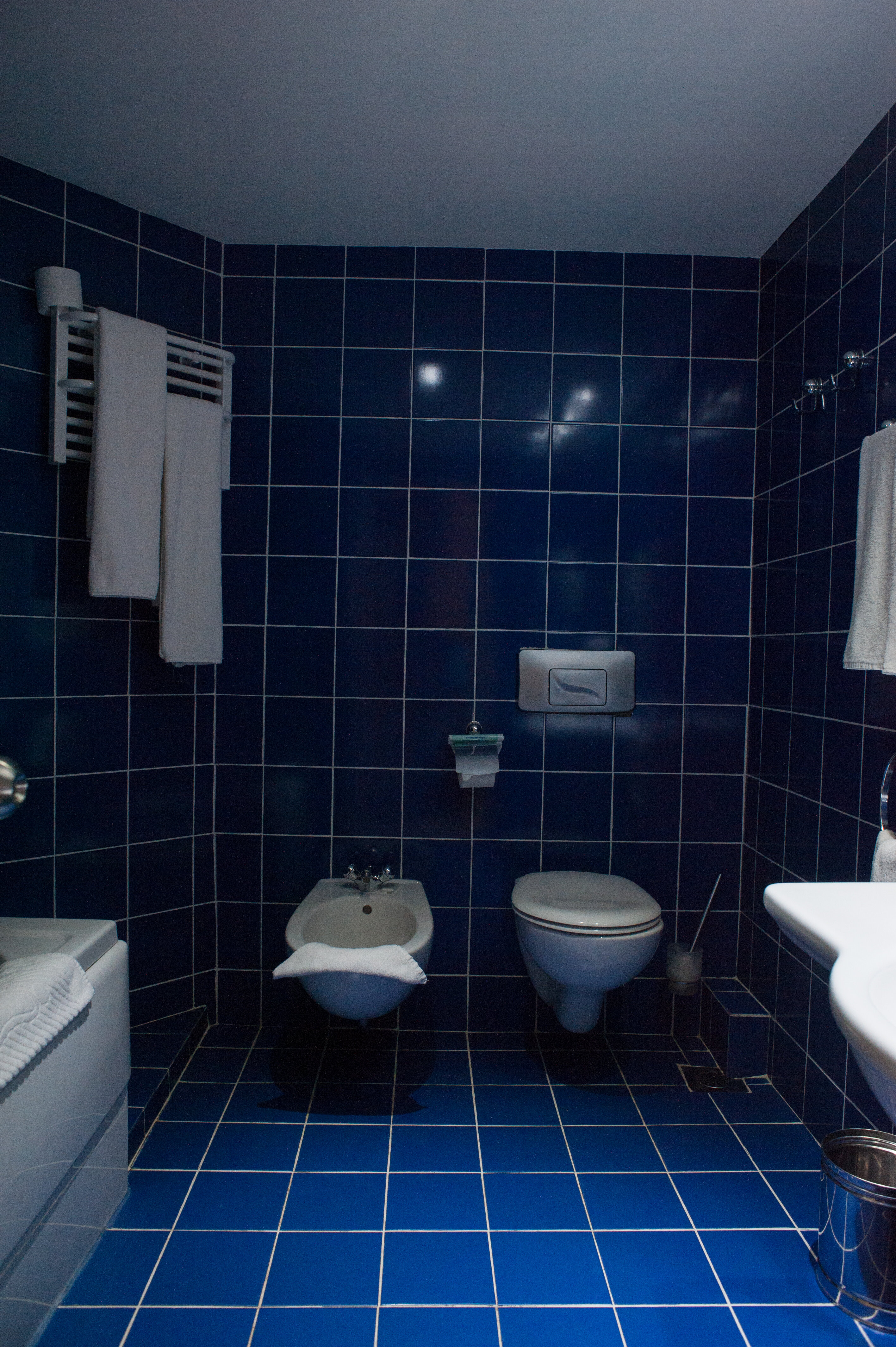 Фото Hotel Lilia