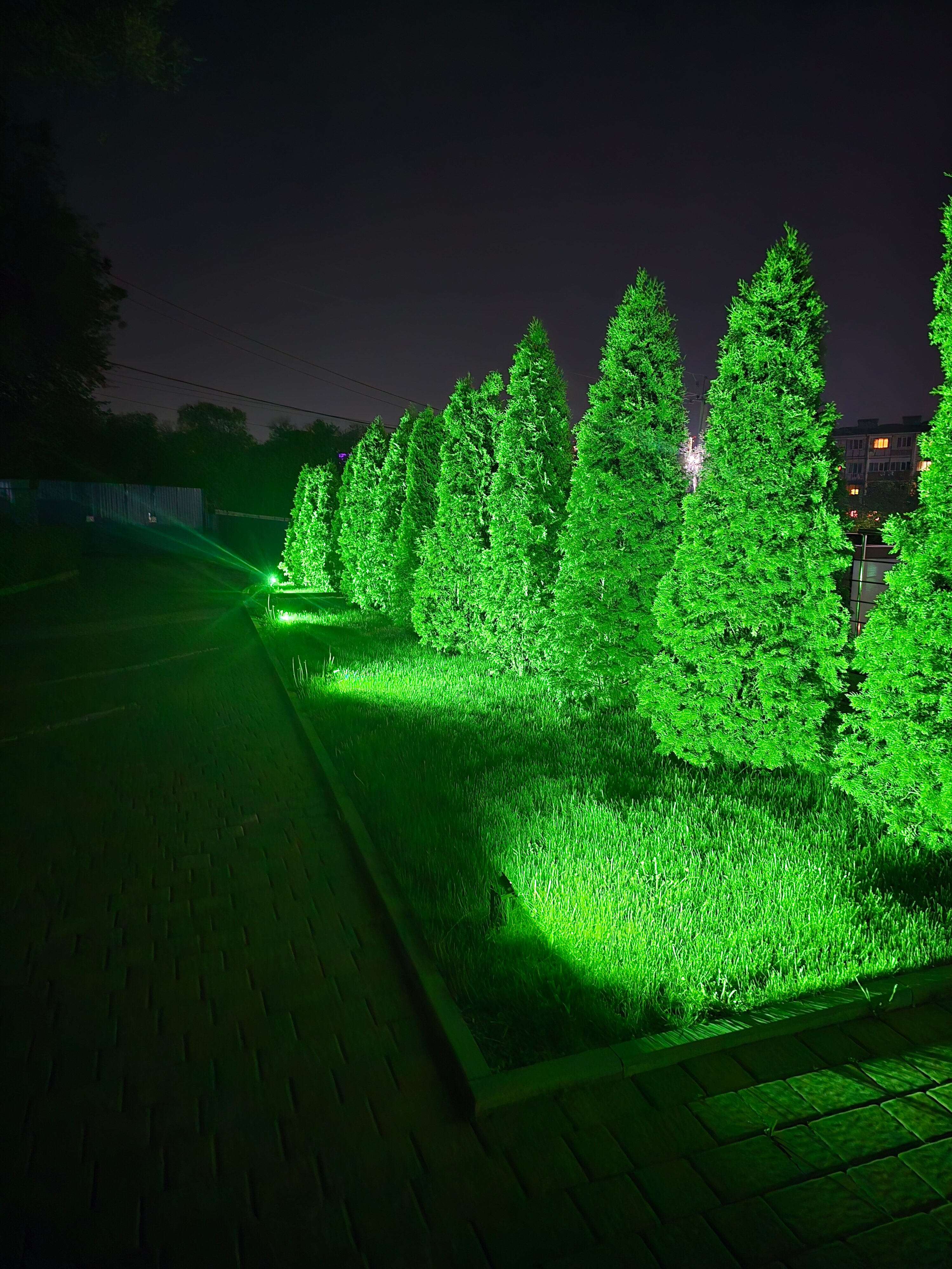 Фото Ростовский