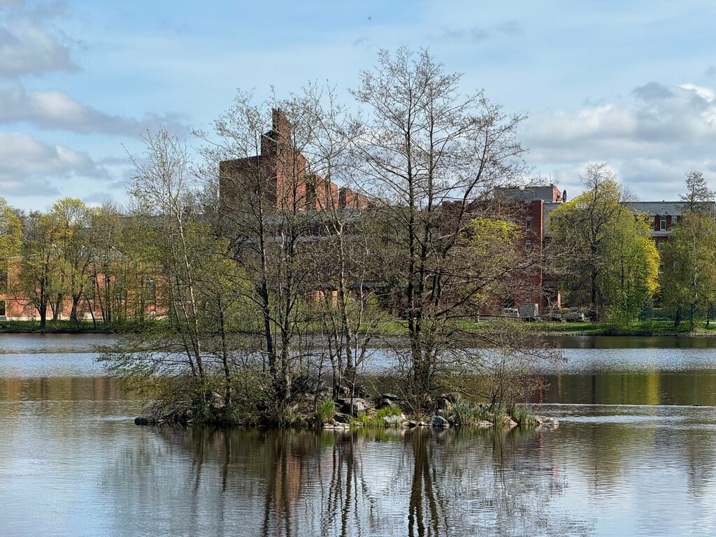 Landmark, attraction Ряжево-земляная плотина Дестрема, Sestroretsk, photo