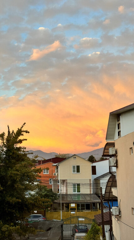 Фото Адлердомик