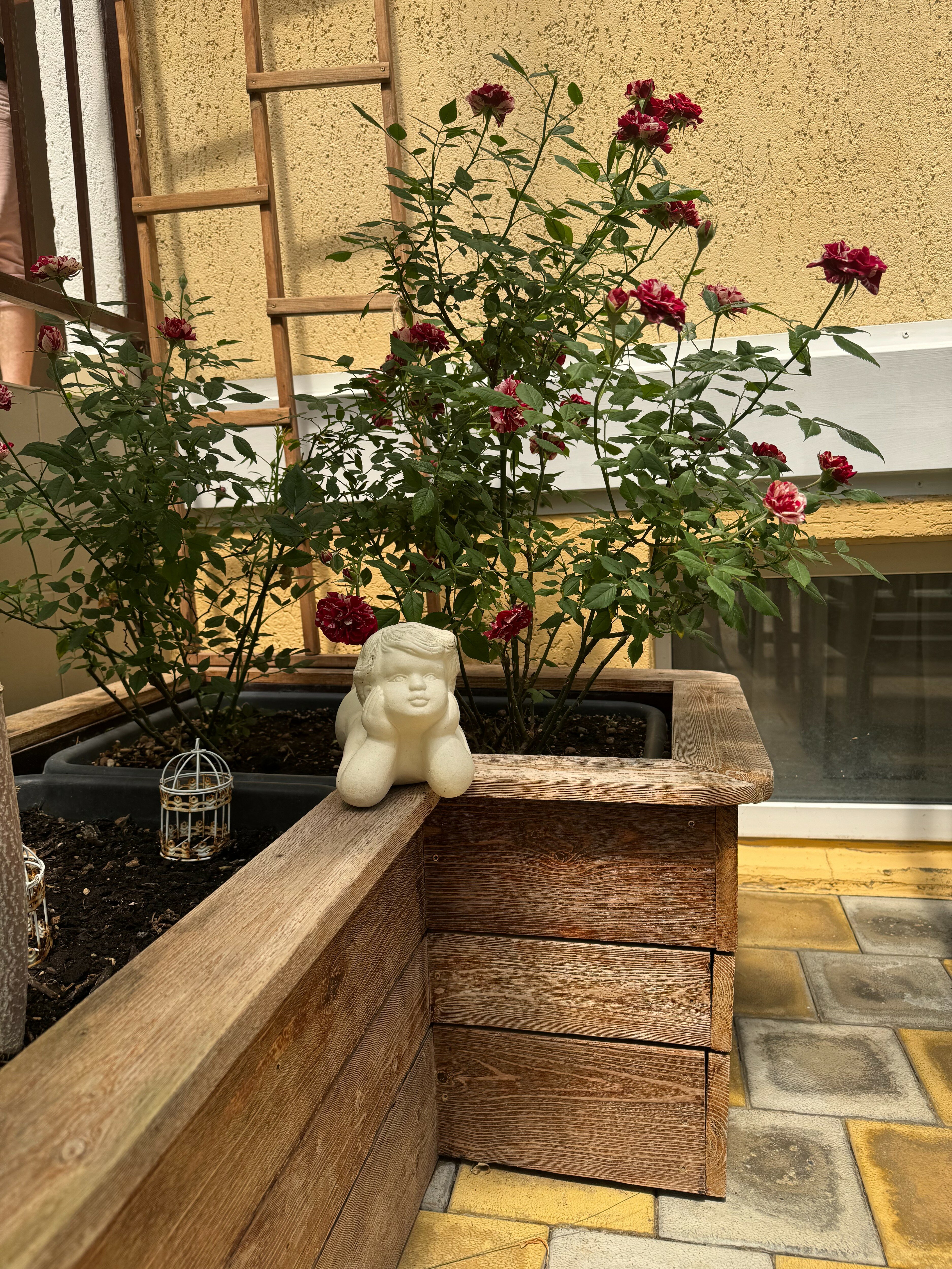 Фото Атлант