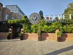 Velvet (Lenina Street, 27), restaurant