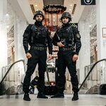 Стрела (Litvinova Street, 4) ، شركة أمن