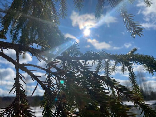 Внешний вид отеля Солониха в Красноборском муниципальном округе, фото 2