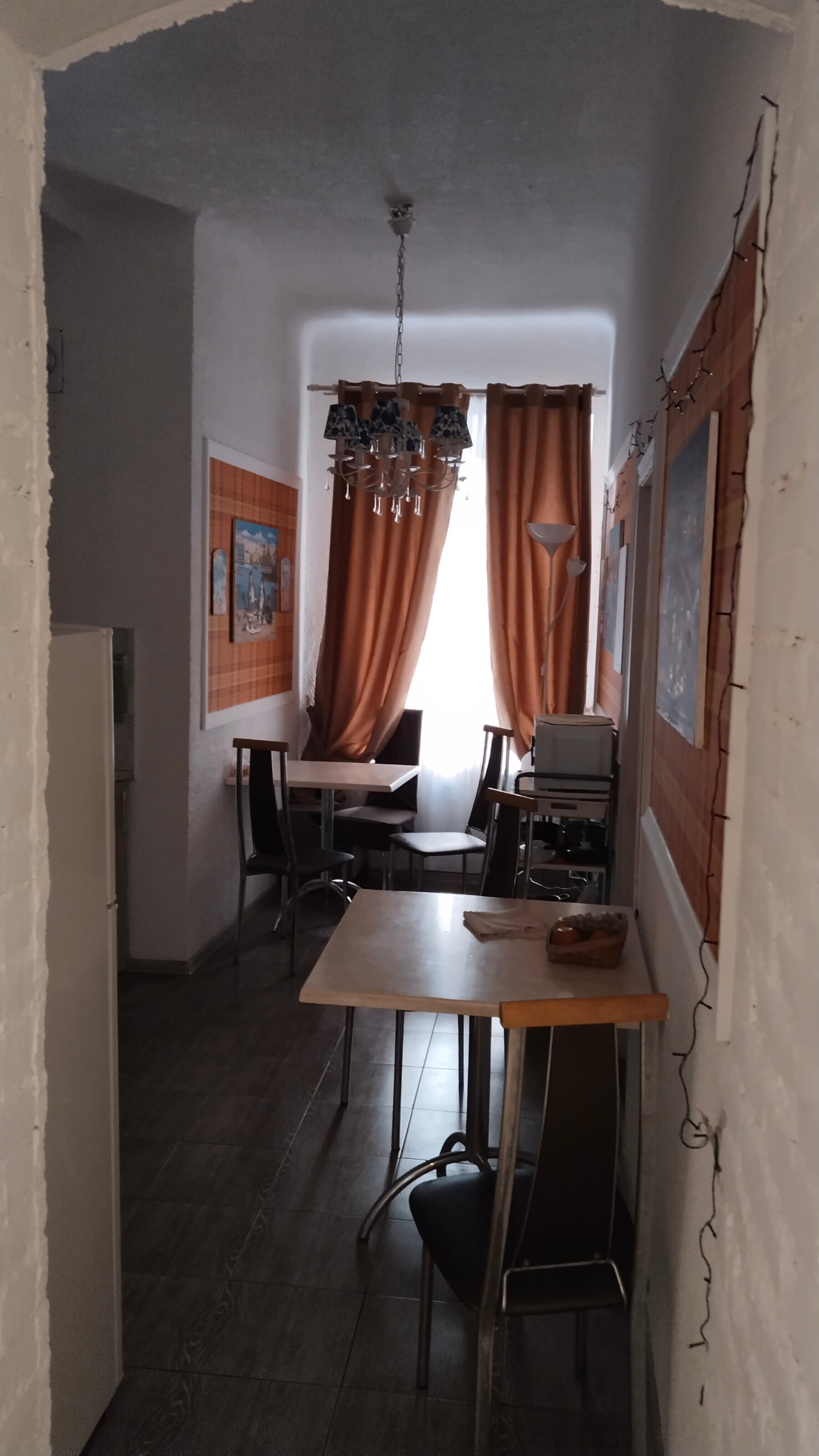 Фото Старый кот