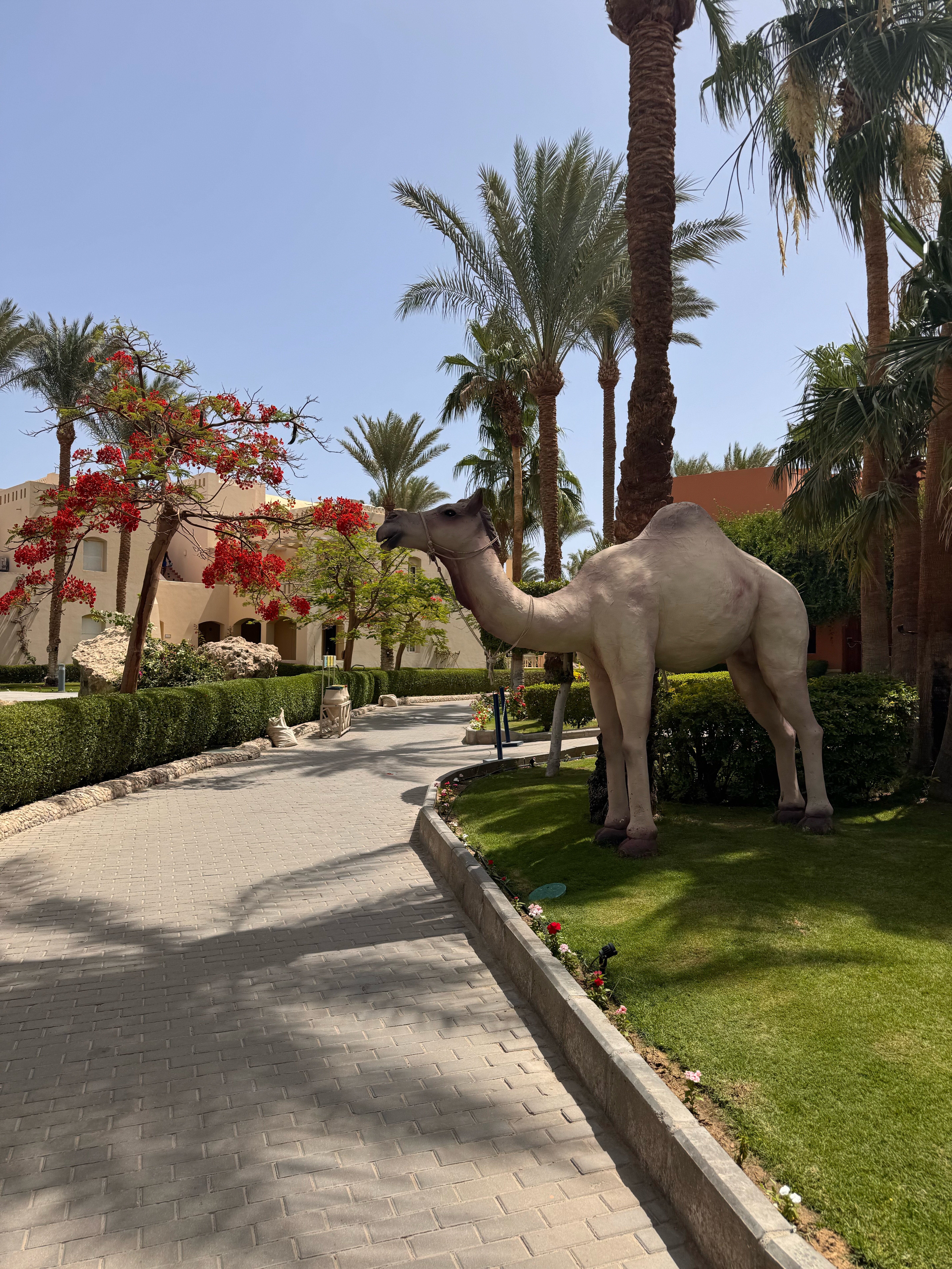 Фото Джаз Макади Стар & СПА