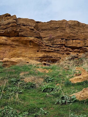 Транссексуал жігіттің есегіне кірді.