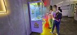 Хватай игрушки (Ligovskiy Avenue, 74), toys and games