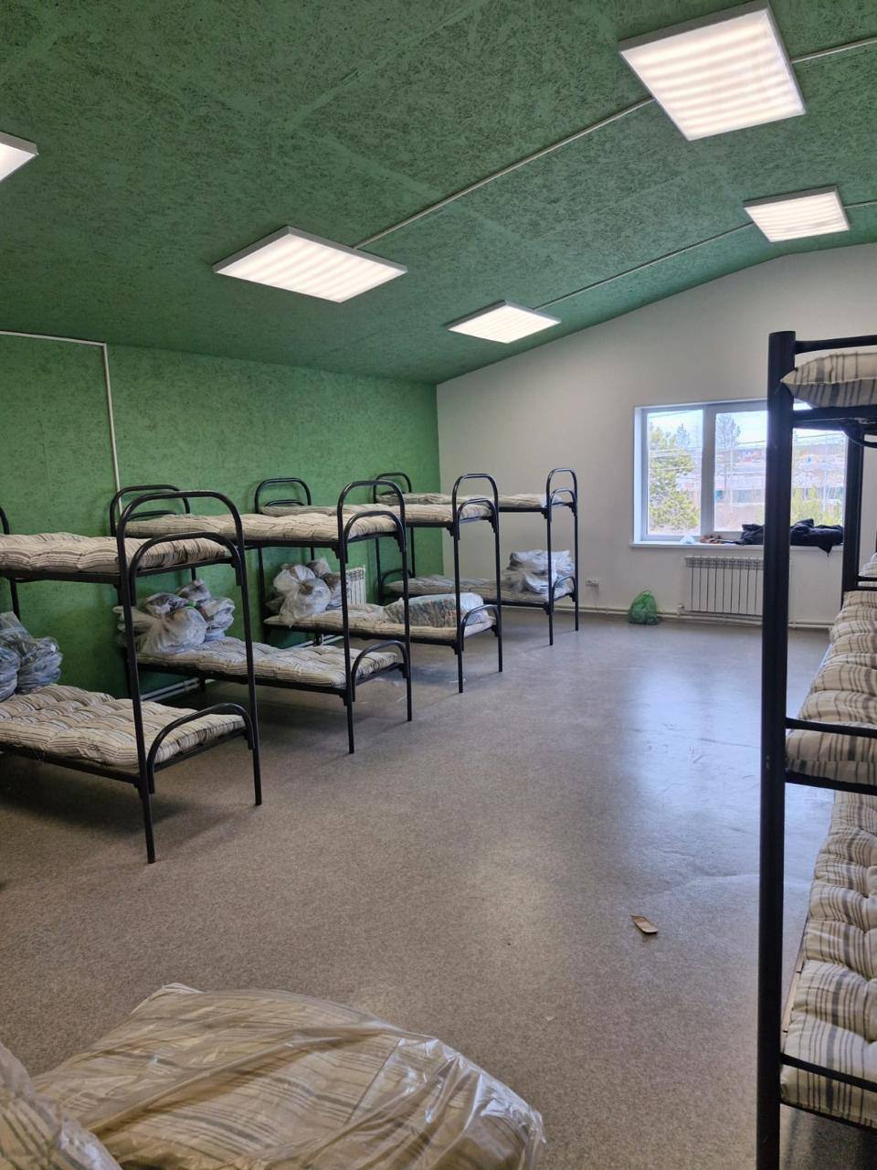 Фото Тундра