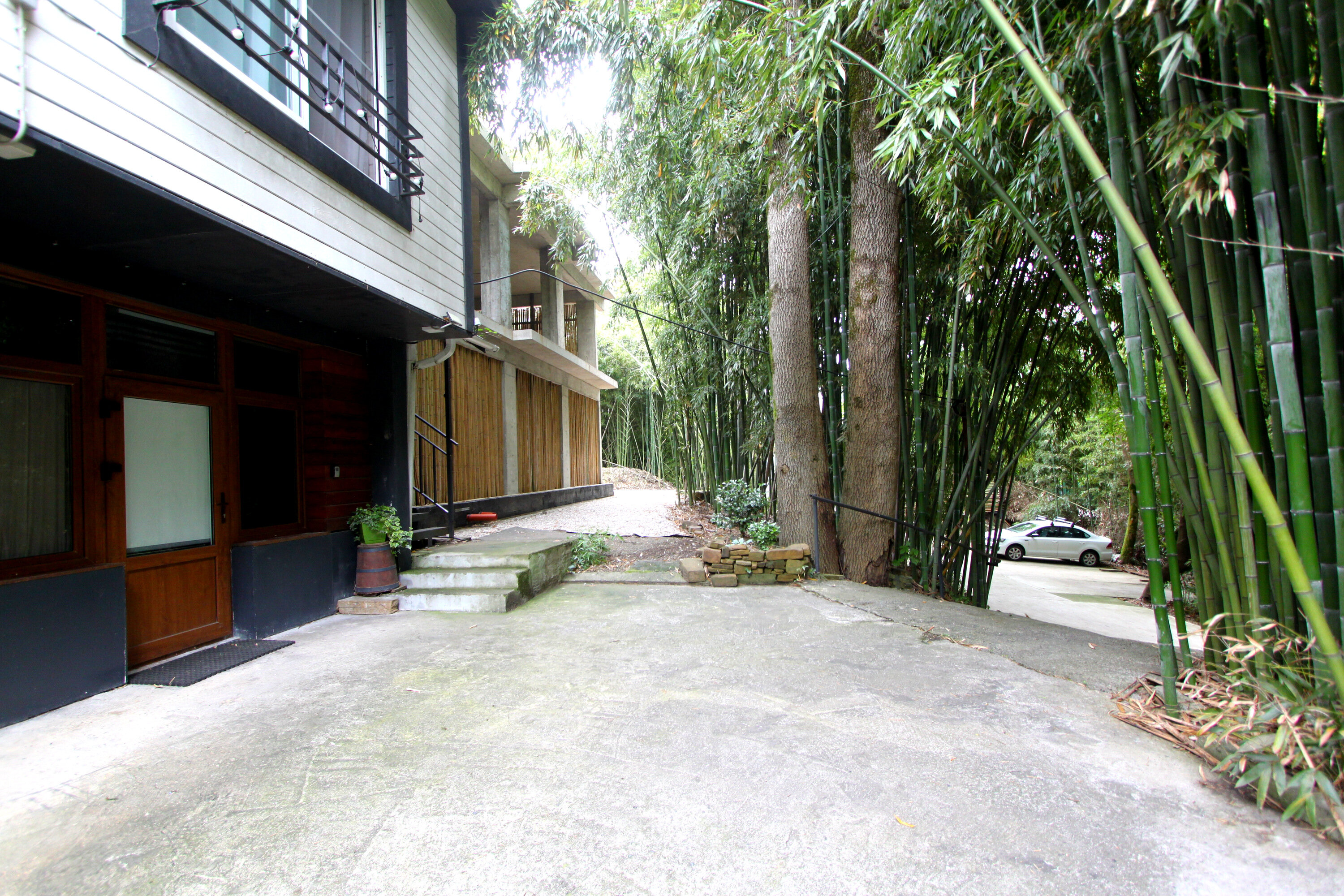 Фото Бамбуковая Роща