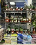 Flowery Salon (Molokova Street, 3/1), flower shop