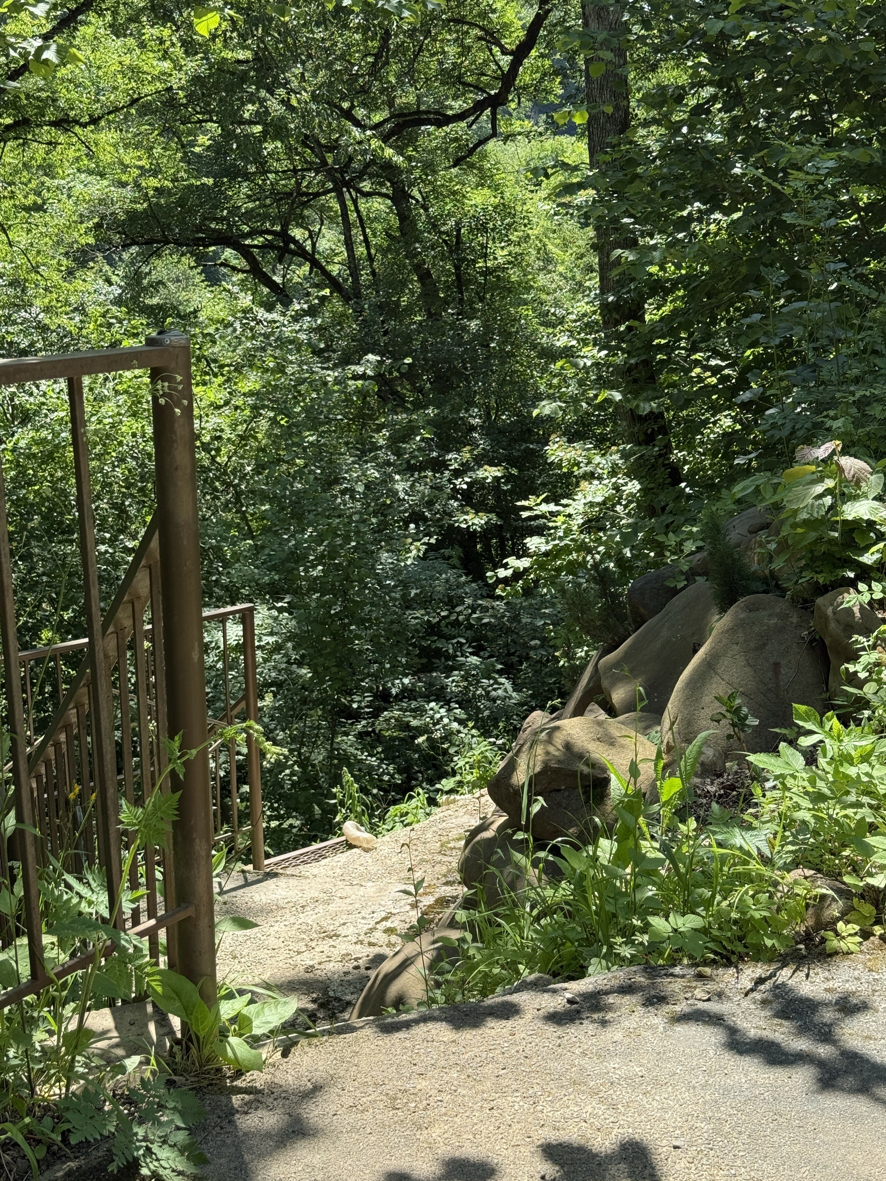 Фото Shelest Lesa