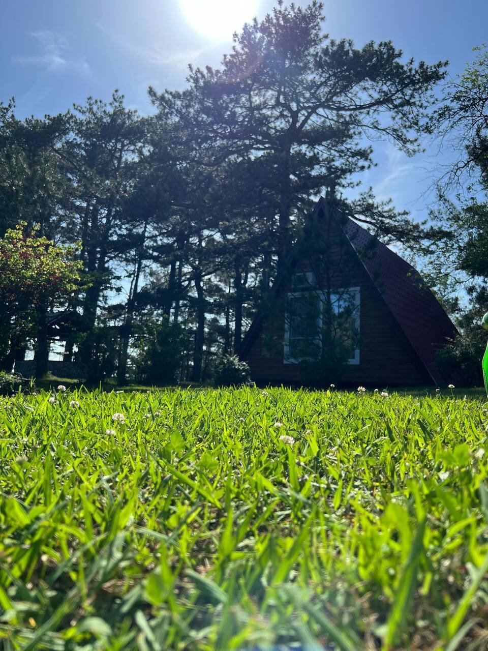 Фото Лунная поляна