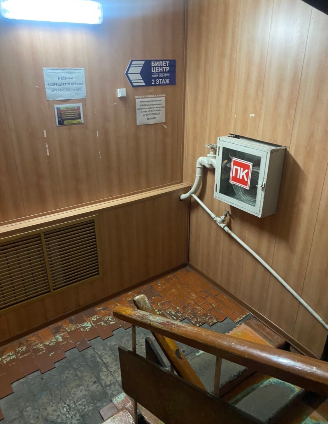 Фото Солнечная