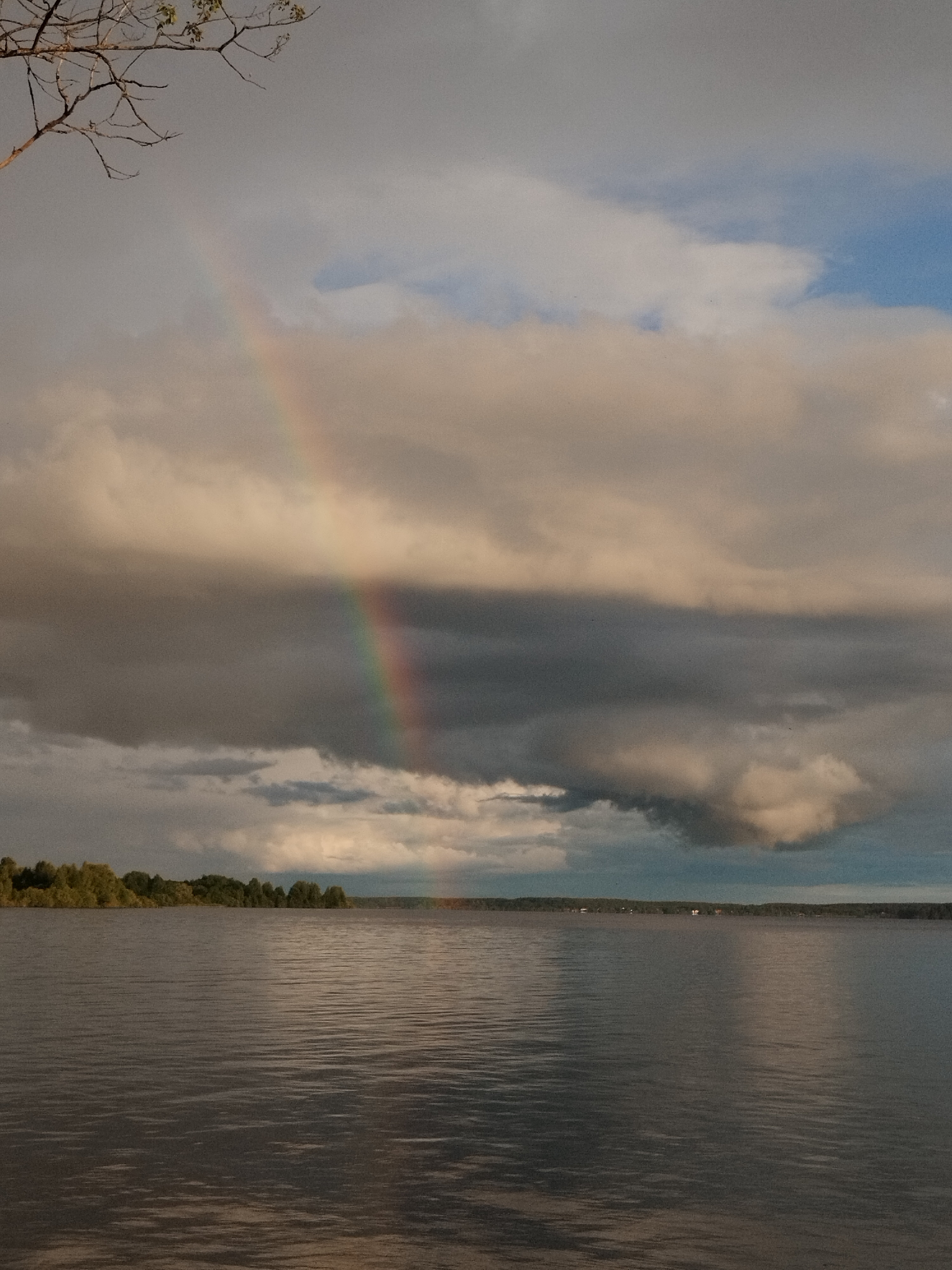 Фото Орлинка