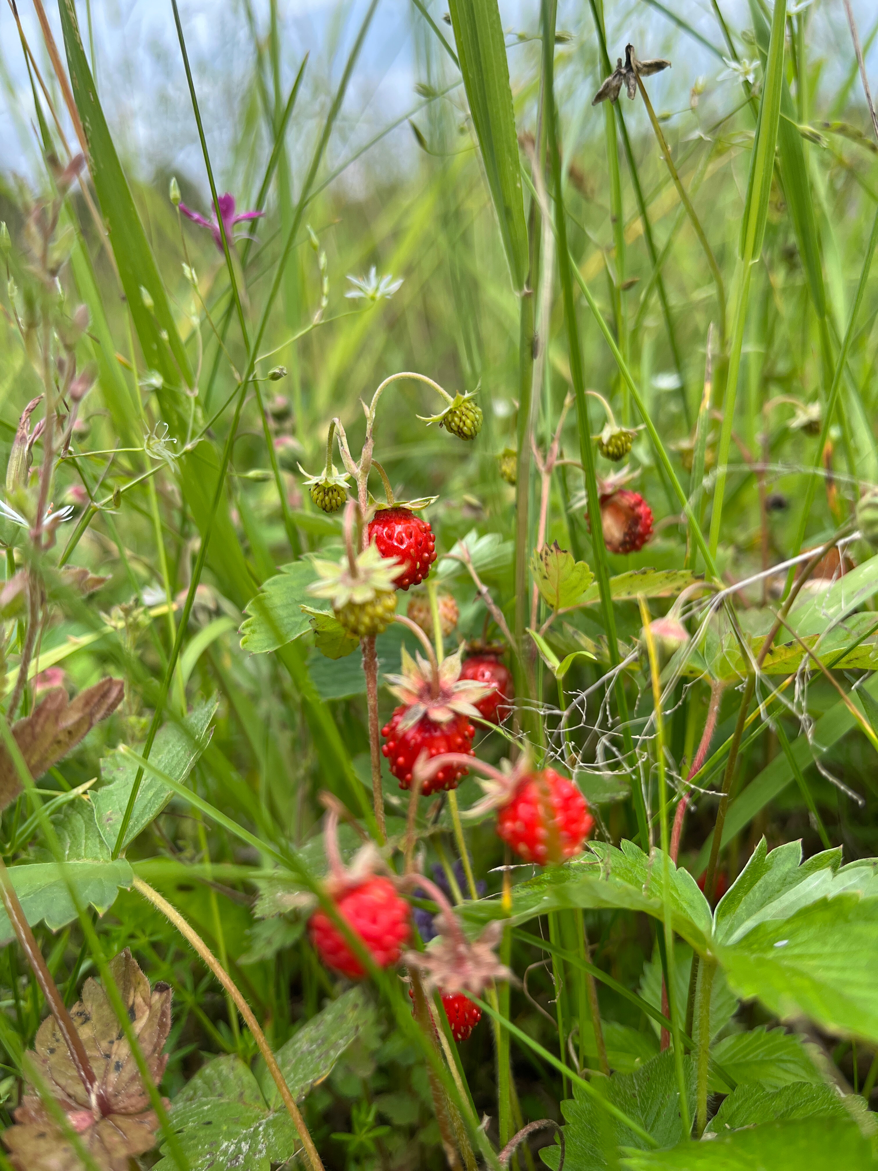 Фото Солнечная пристань