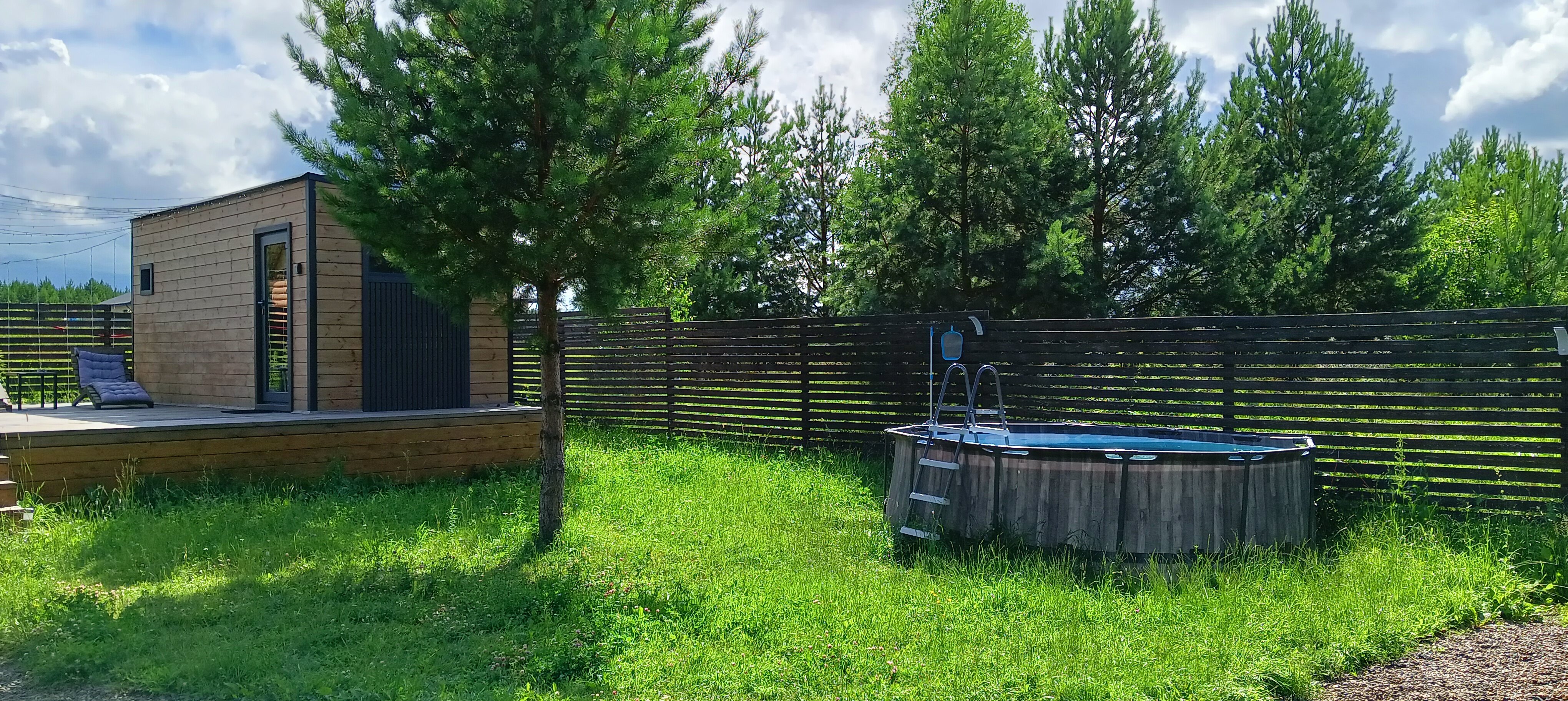 Фото На опушке