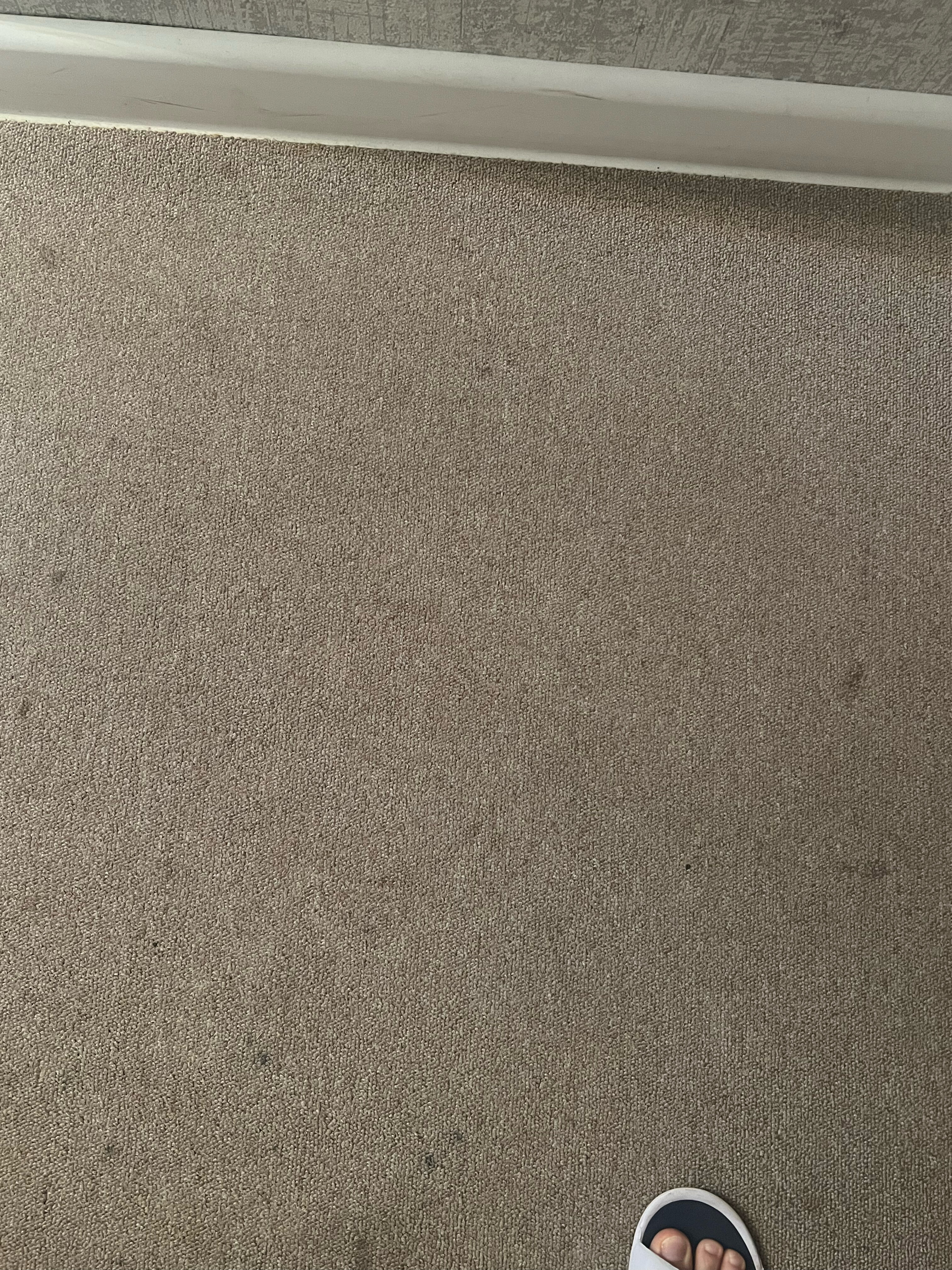 Фото Апельсин