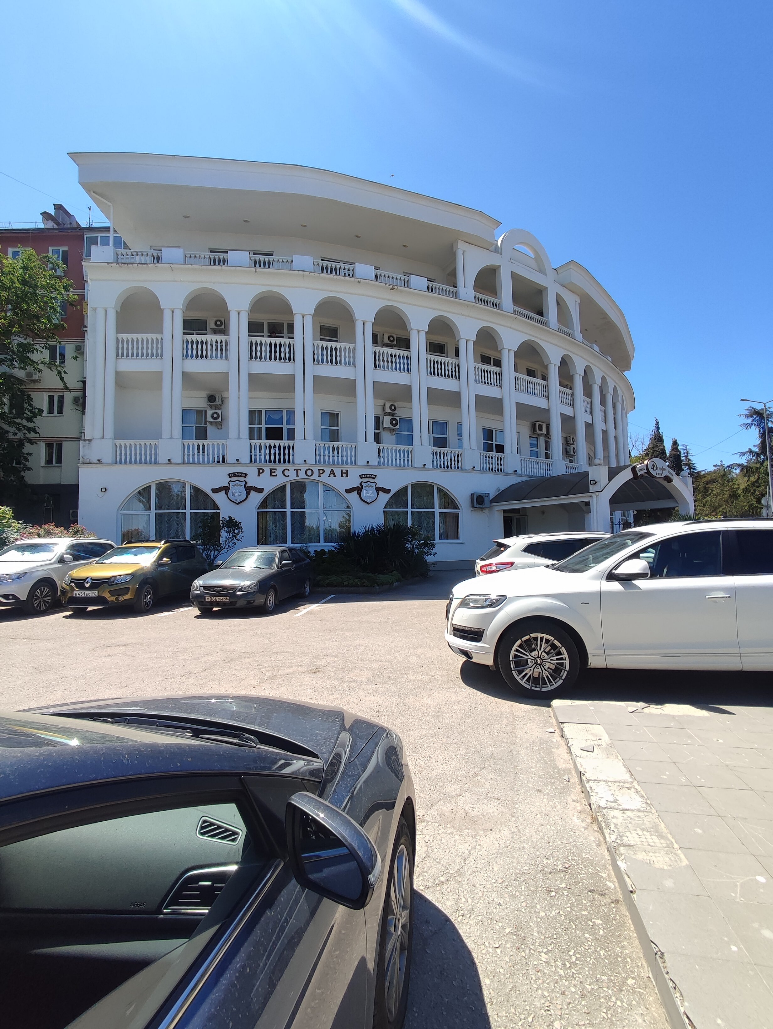 Фото Дельфин