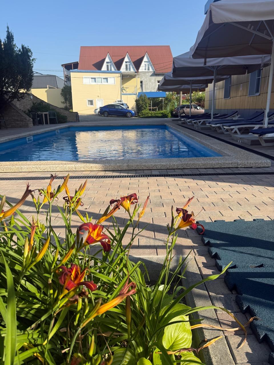 Фото Идиллия