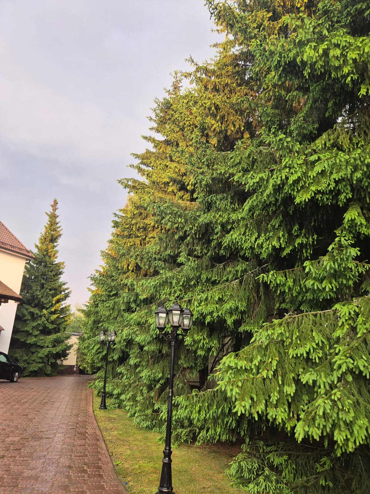 Фото Lesnoy Villa